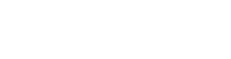 Logo IENCINAS